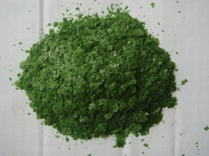 Blue Green Algae Dryer